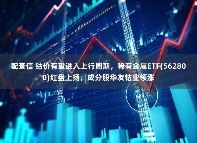 配查信 钴价有望进入上行周期，稀有金属ETF(562800)红盘上扬，成分股华友钴业领涨
